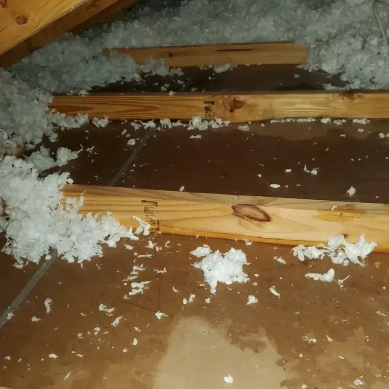 Attic Water Damage in Medford, OK