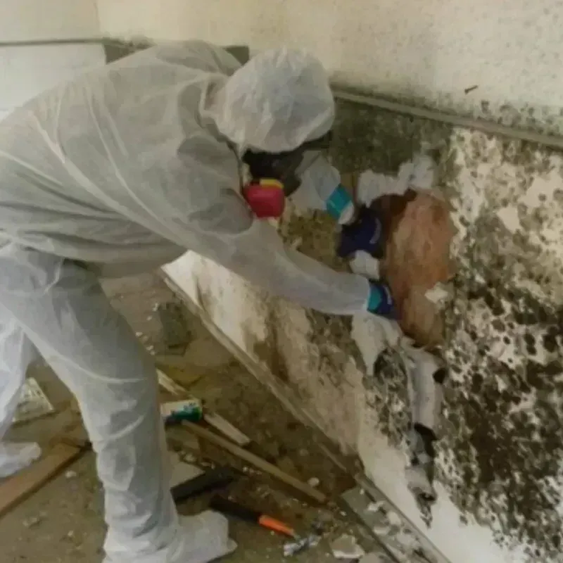 Mold Remediation and Removal in Medford, OK