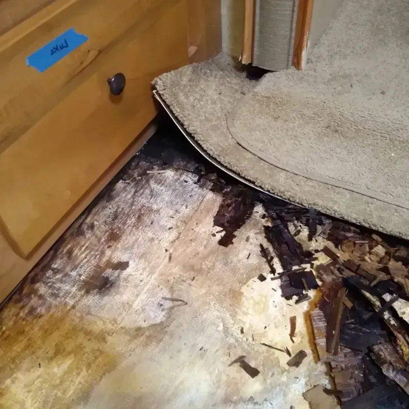 Wood Floor Water Damage in Medford, OK